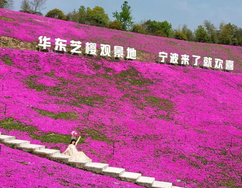绿野欢乐谷 - 宁波市旅游 1