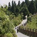 金堂县龚家山观景台 - 成都市旅游 缩略图 7
