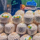 蔡椰大·椰子鸡(佳宁娜店) - 深圳市旅游 缩略图 6