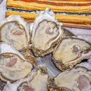 蔡椰大·椰子鸡(佳宁娜店) - 深圳市旅游 缩略图 5
