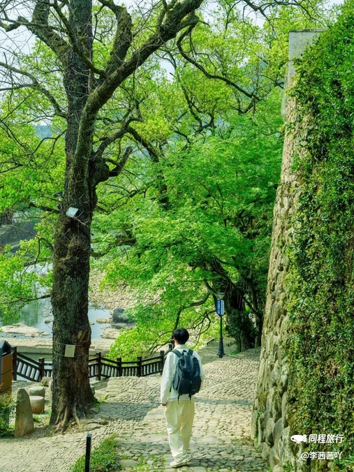 大奇山国家森林公园 - 杭州旅游