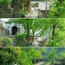 大奇山国家森林公园 - 杭州旅游 缩略图 8