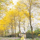 温江兰花博览园之聚美风铃谷 - 成都市旅游 缩略图 9