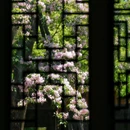 吴山景区-中兴东岳庙 - 杭州市旅游 缩略图 3