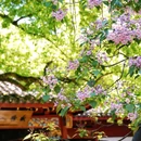 吴山景区-中兴东岳庙 - 杭州市旅游 缩略图 1