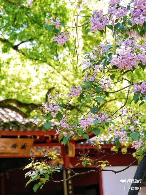 吴山景区-中兴东岳庙 - 杭州市旅游