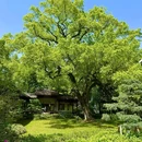 安隐寺遗址公园 - 杭州市旅游 缩略图 1