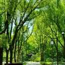 安隐寺遗址公园 - 杭州市旅游 缩略图 3