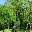 安隐寺遗址公园 - 杭州市旅游 缩略图 7