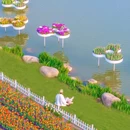 荷兰花海 - 盐城市旅游 缩略图 8