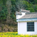 李坑风景区 - 上饶市旅游 缩略图 2