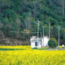 李坑风景区 - 上饶市旅游 缩略图 4
