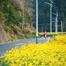 李坑风景区 - 上饶市旅游 缩略图 6