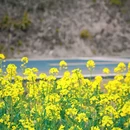 李坑风景区 - 上饶市旅游 缩略图 8
