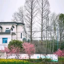 李坑风景区 - 上饶市旅游 缩略图 9