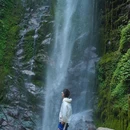 莫里热带雨林景区 - 德宏傣族景颇族自治州旅游 缩略图 1