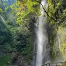 莫里热带雨林景区 - 德宏傣族景颇族自治州旅游 缩略图 6