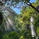 莫里热带雨林景区 - 德宏傣族景颇族自治州旅游 缩略图 7