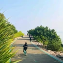 深圳湾公园 - 深圳市旅游 缩略图 4