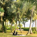 深圳湾公园 - 深圳市旅游 缩略图 8