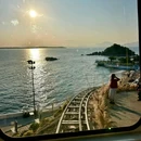 深圳市仙湖植物园 - 深圳市旅游 缩略图 4