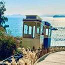 深圳市仙湖植物园 - 深圳市旅游 缩略图 2
