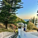 深圳市仙湖植物园 - 深圳市旅游 缩略图 5