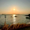 深圳市仙湖植物园 - 深圳市旅游 缩略图 6