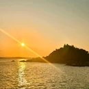 深圳市仙湖植物园 - 深圳市旅游 缩略图 9