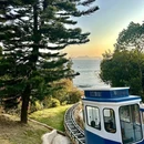 深圳市仙湖植物园 - 深圳市旅游 缩略图 7