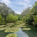 麓湖公园 - 广州市旅游 缩略图 5