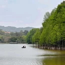 麓湖公园 - 广州市旅游 缩略图 4