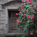 老门东 - 南京市旅游 缩略图 3
