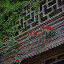 老门东 - 南京市旅游 缩略图 6