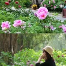 太庙 - 北京市旅游 缩略图 1