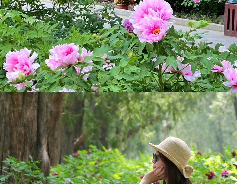 太庙 - 北京市旅游 1