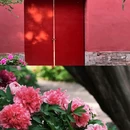 太庙 - 北京市旅游 缩略图 8
