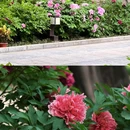 太庙 - 北京市旅游 缩略图 7