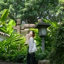 广州兰圃 - 广州市旅游 缩略图 3