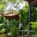 广州兰圃 - 广州市旅游 缩略图 6