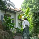 广州兰圃 - 广州市旅游 缩略图 2