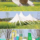 黄岩石窟 - 台州市旅游 缩略图 3