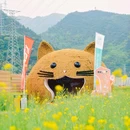 黄岩石窟 - 台州市旅游 缩略图 1