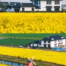 沙溪古镇 - 苏州市旅游 缩略图 4