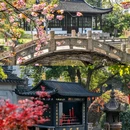 沙溪古镇 - 苏州市旅游 缩略图 5