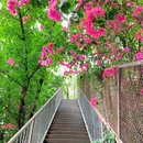广州东站-J口 - 广州市旅游 缩略图 5