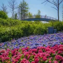 上海植物园 - 上海市旅游 缩略图 1