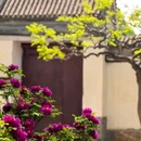 北京大观园 - 北京旅游 缩略图 7