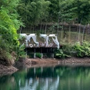 大里村 - 湖州旅游 缩略图 9