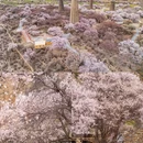 秀巴千年古堡群 - 林芝市旅游 缩略图 3